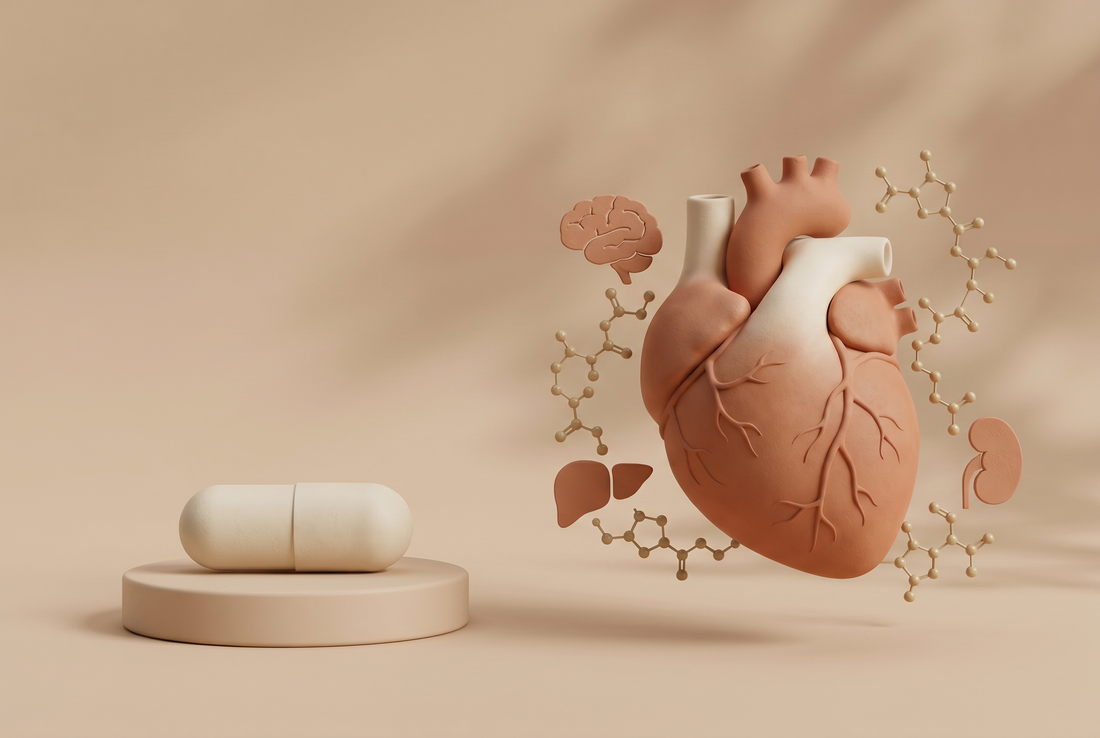 Peptide supplements for healthy aging: what to look for and how organ-specific bioregulators compare