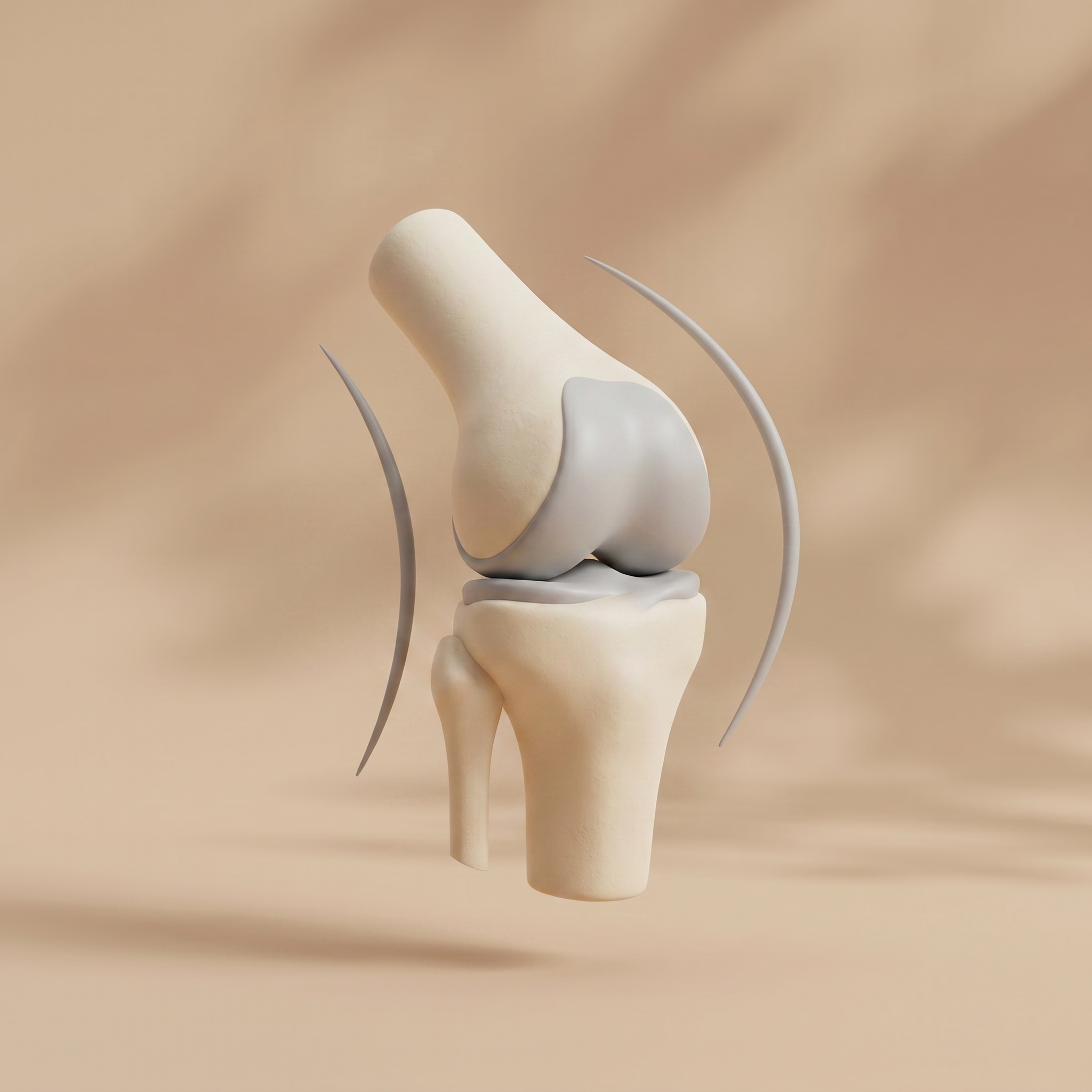 Joint & Mobility