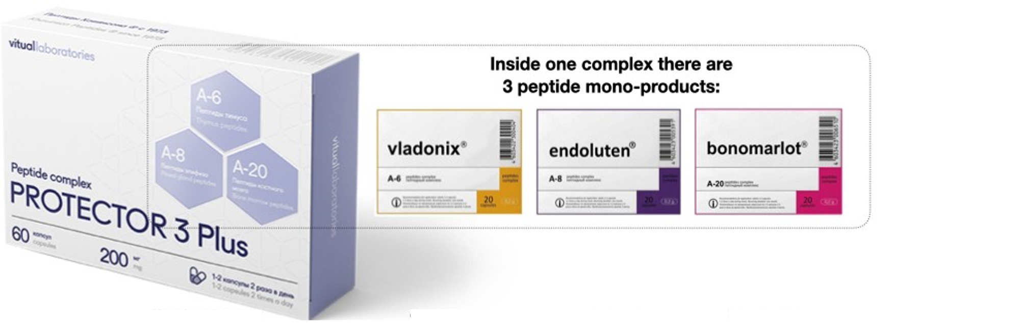 Protector 3 Plus peptidkomplex med Endoluten, Vladonix och Bonomarlot