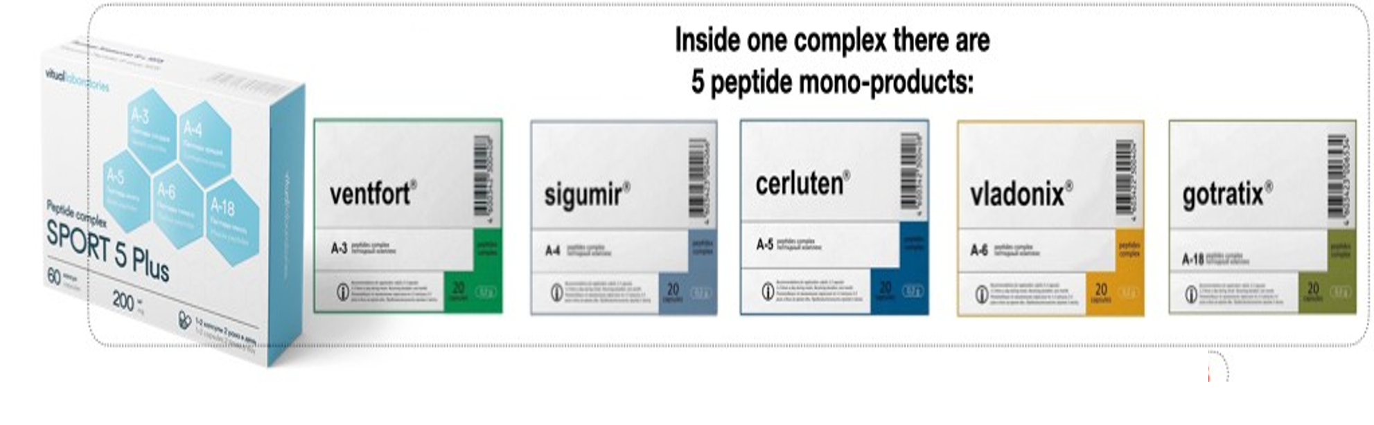 Recovery 5 Plus Peptidkomplex med Ventfort, Sigumir, Cerluten, Vladonix och Gotratix