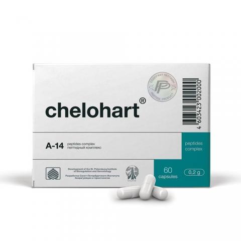 Chelohart - Kort peptidbioregulator för hjärtat